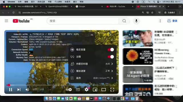 YouTube 4K 视频播放统计信息