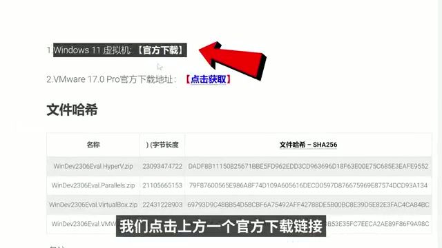 COCODUCK 进阶：用 Windows 11 虚拟机搭建干净的代理测试环境